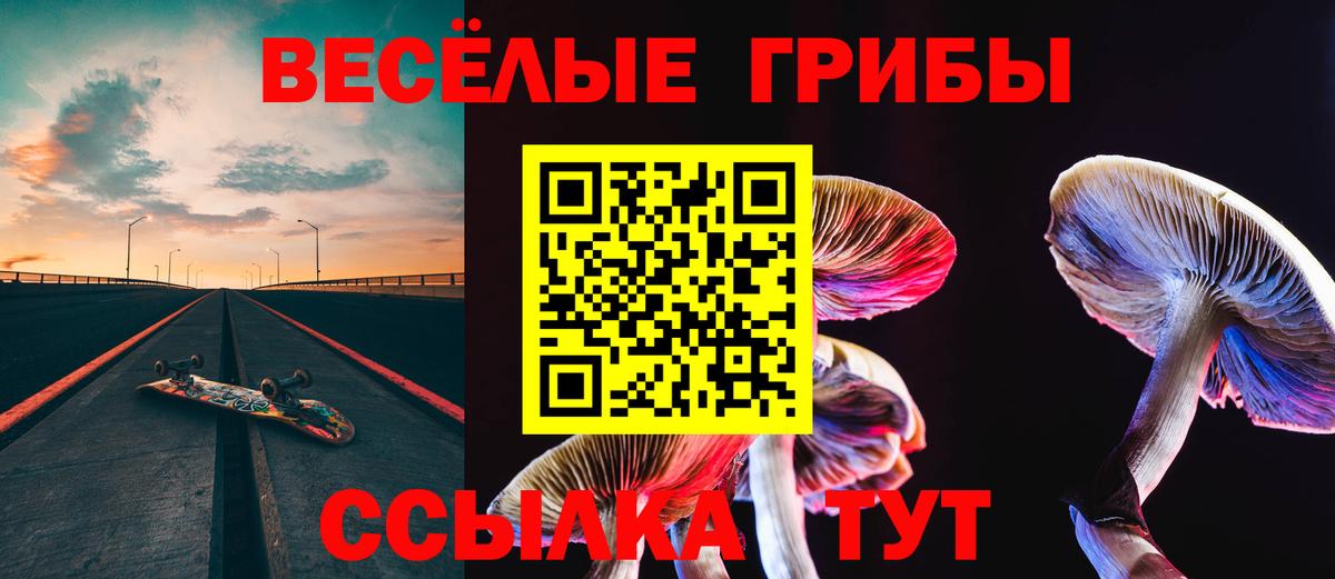 Псилоцибиновые грибы MAGIC MUSHROOMS  Вход с VPN  Горно-Алтайск 